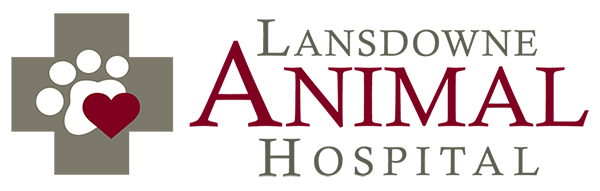 Lansdowne Animal Hospital