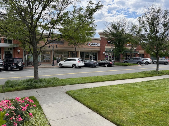 Lansdowne Animal Hospital Street View