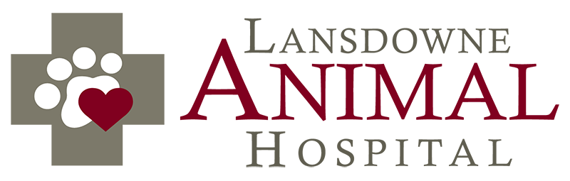 Lansdowne Animal Hospital logo