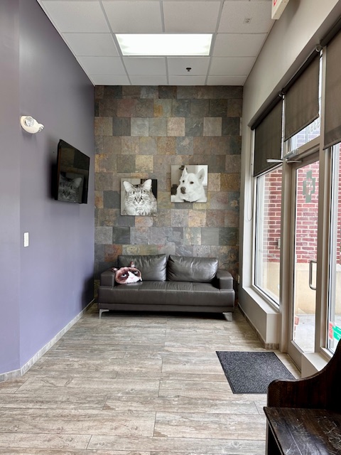 Lansdowne Animal Hospital waiting area