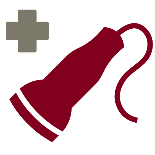 Pet Laser Therapy icon