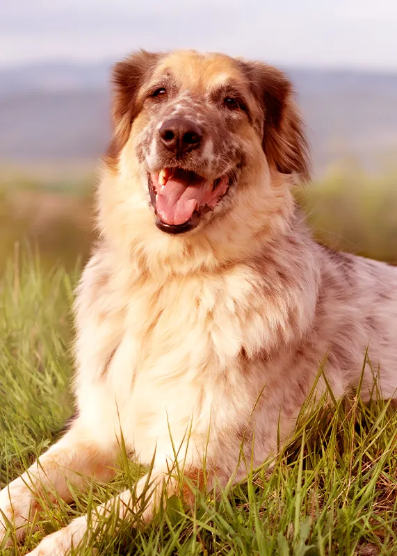 Fetch an Appointment